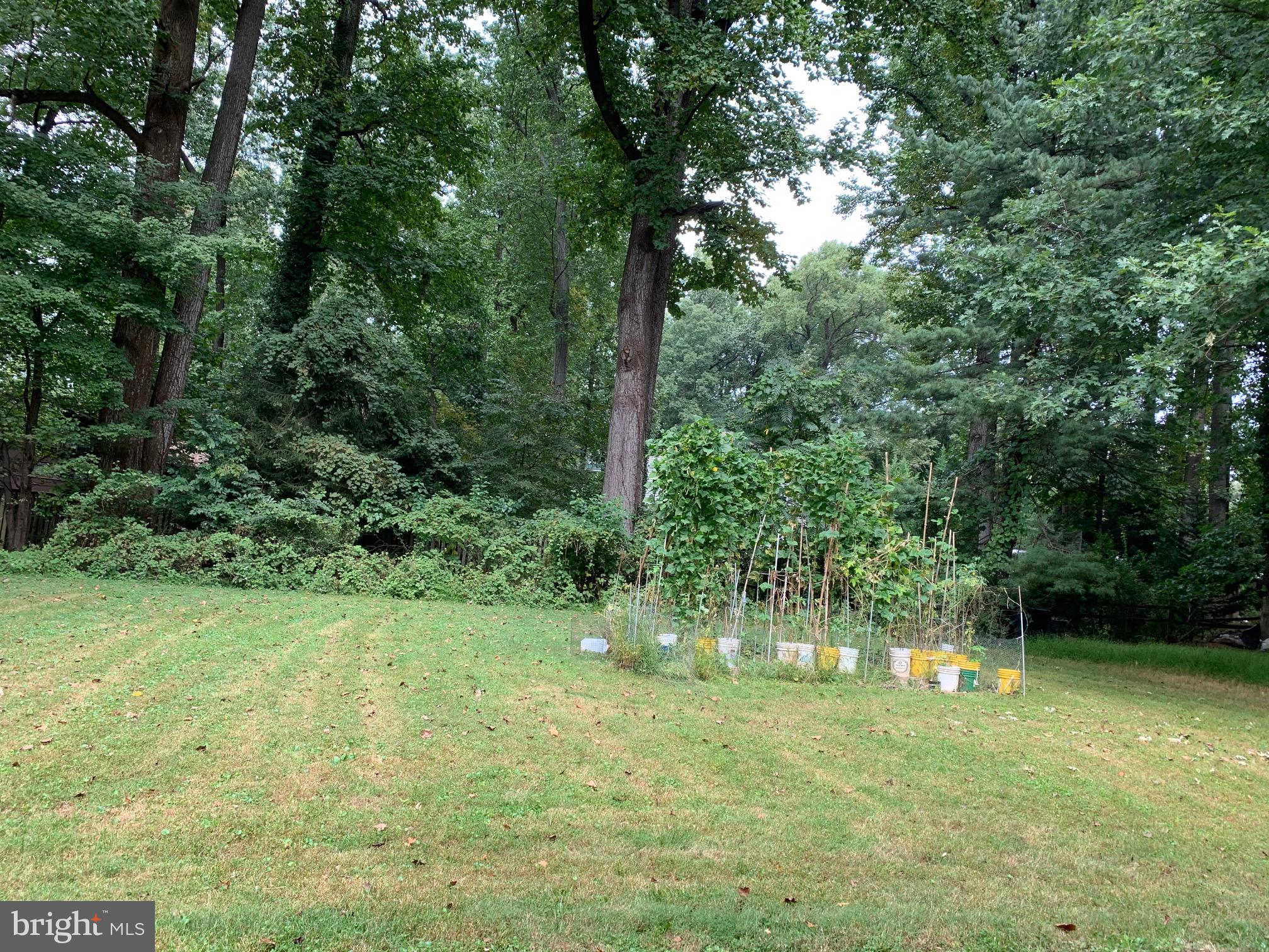 CARTER HILL - Residential