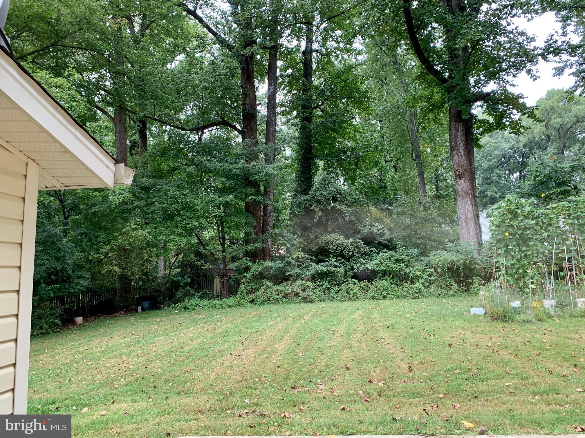 CARTER HILL - Residential