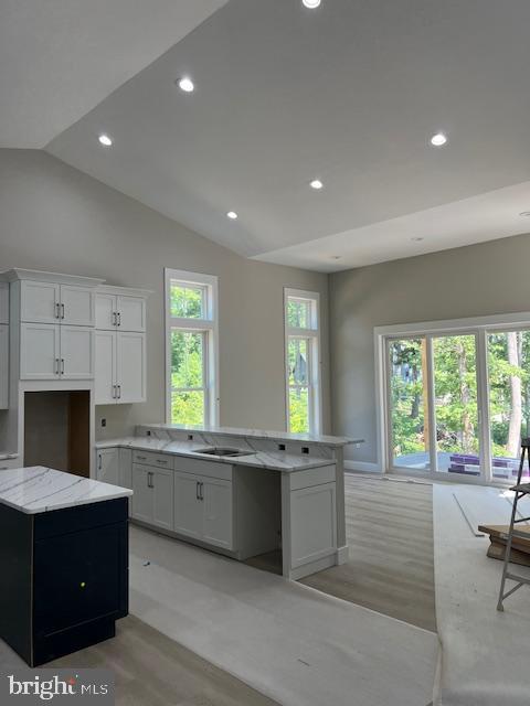 LIGHTHOUSE POINT - Residential