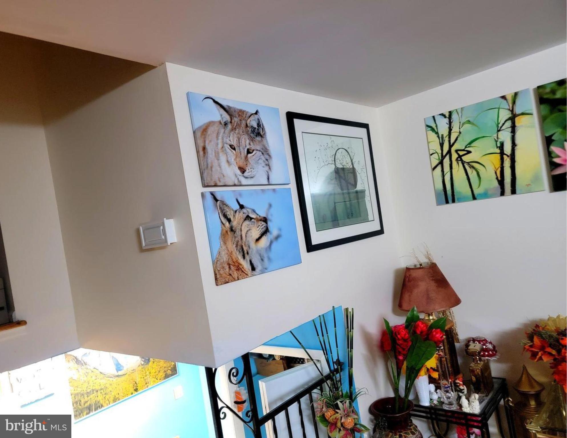 CAPITAL ESTATES - Residential