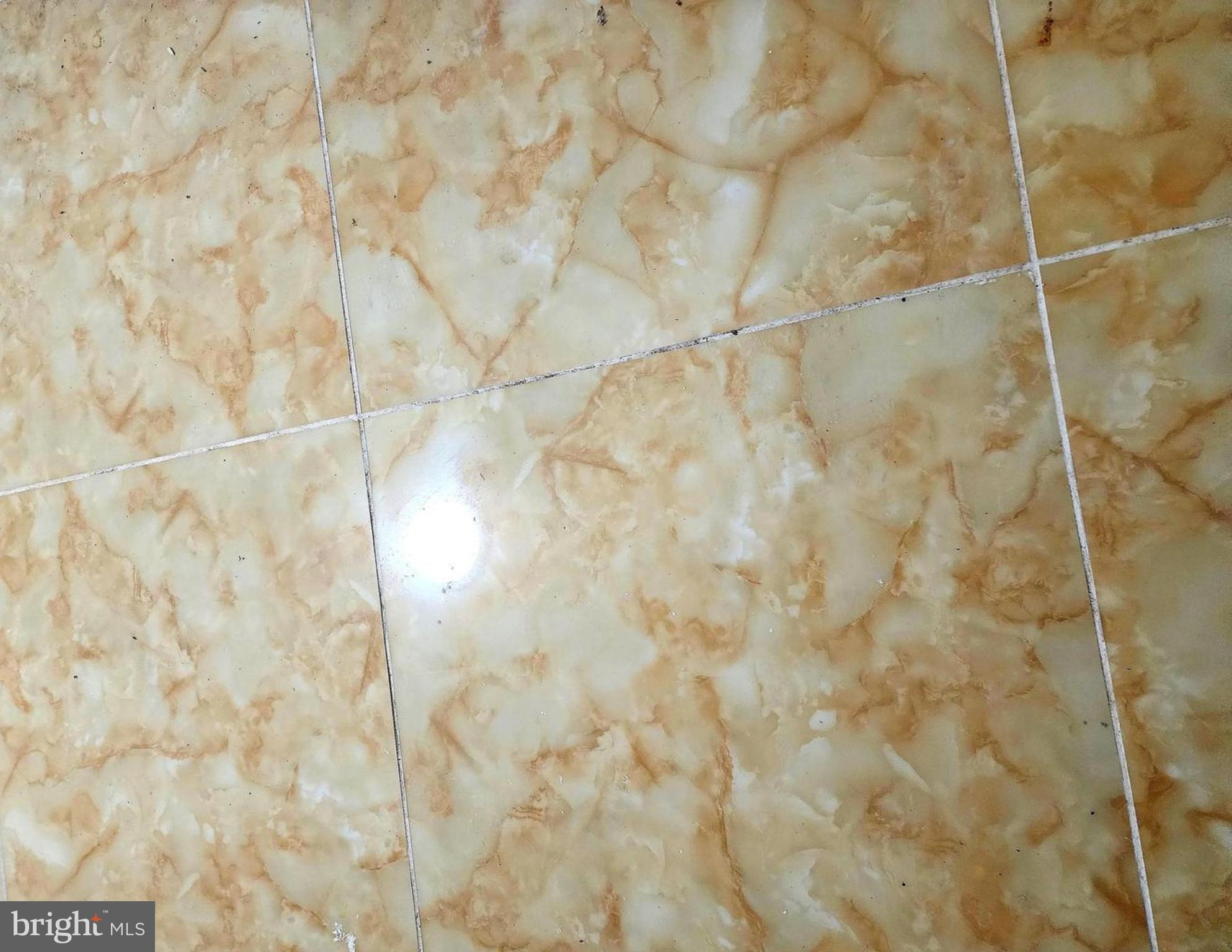 CAPITAL ESTATES - Residential