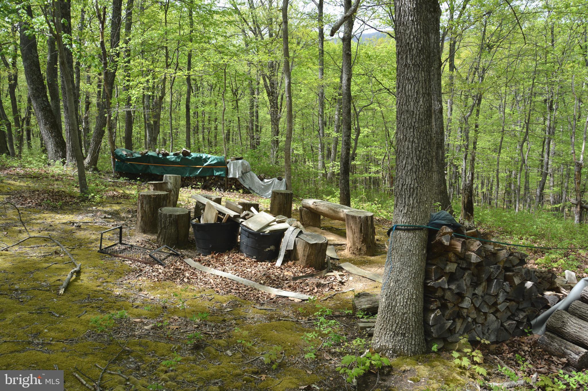 FALL RUN FOREST - Land