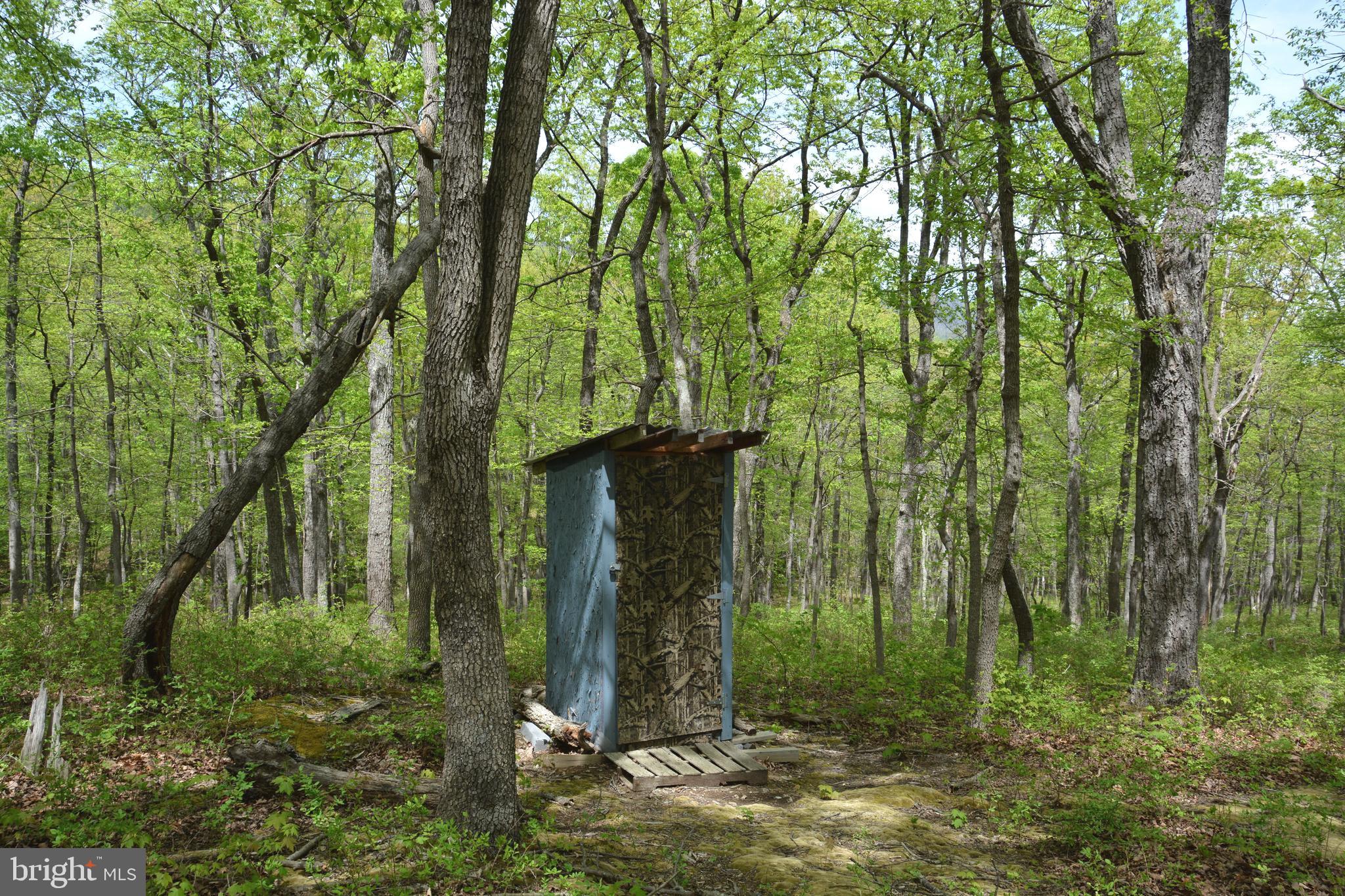FALL RUN FOREST - Land