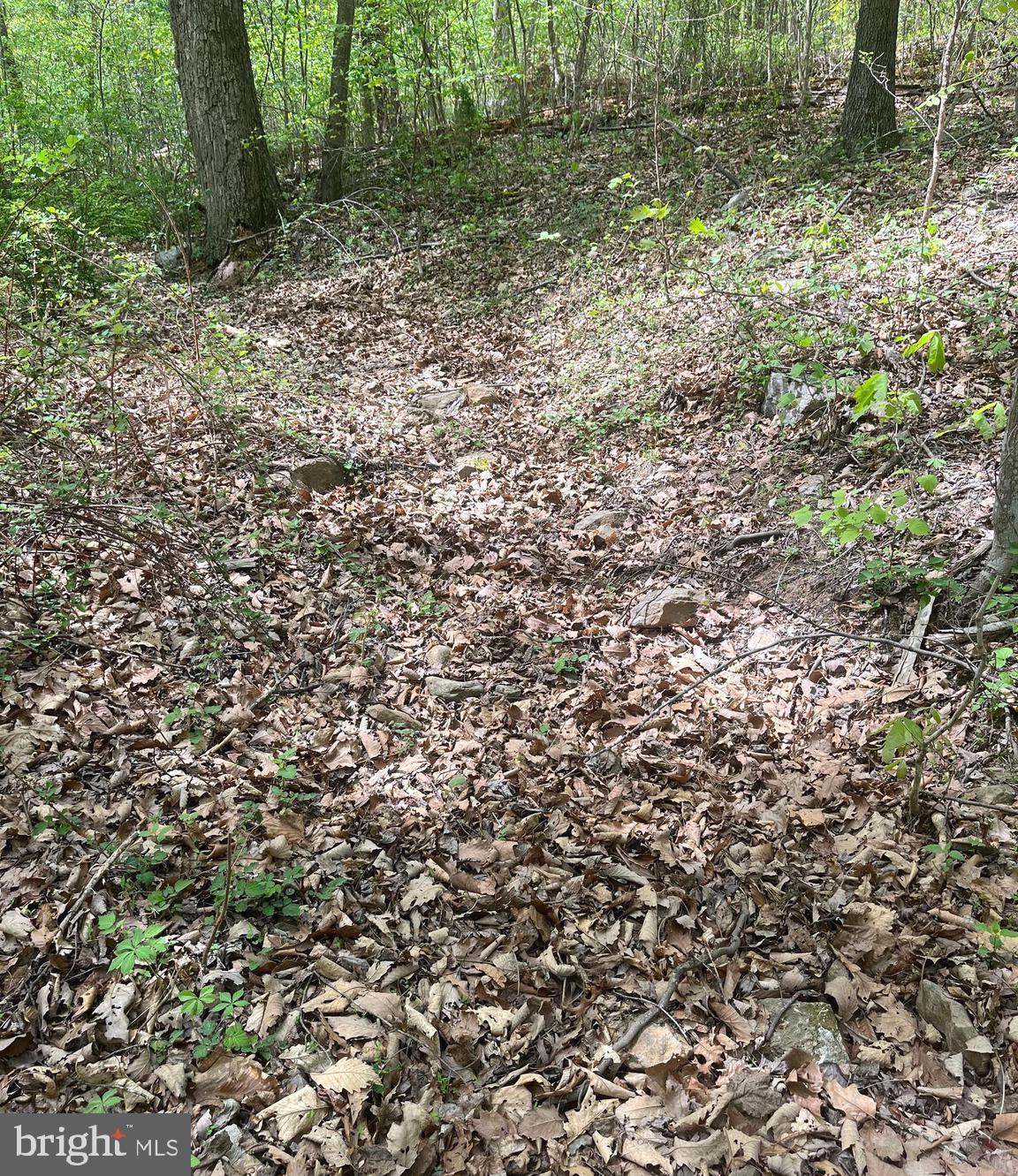 FALL RUN FOREST - Land