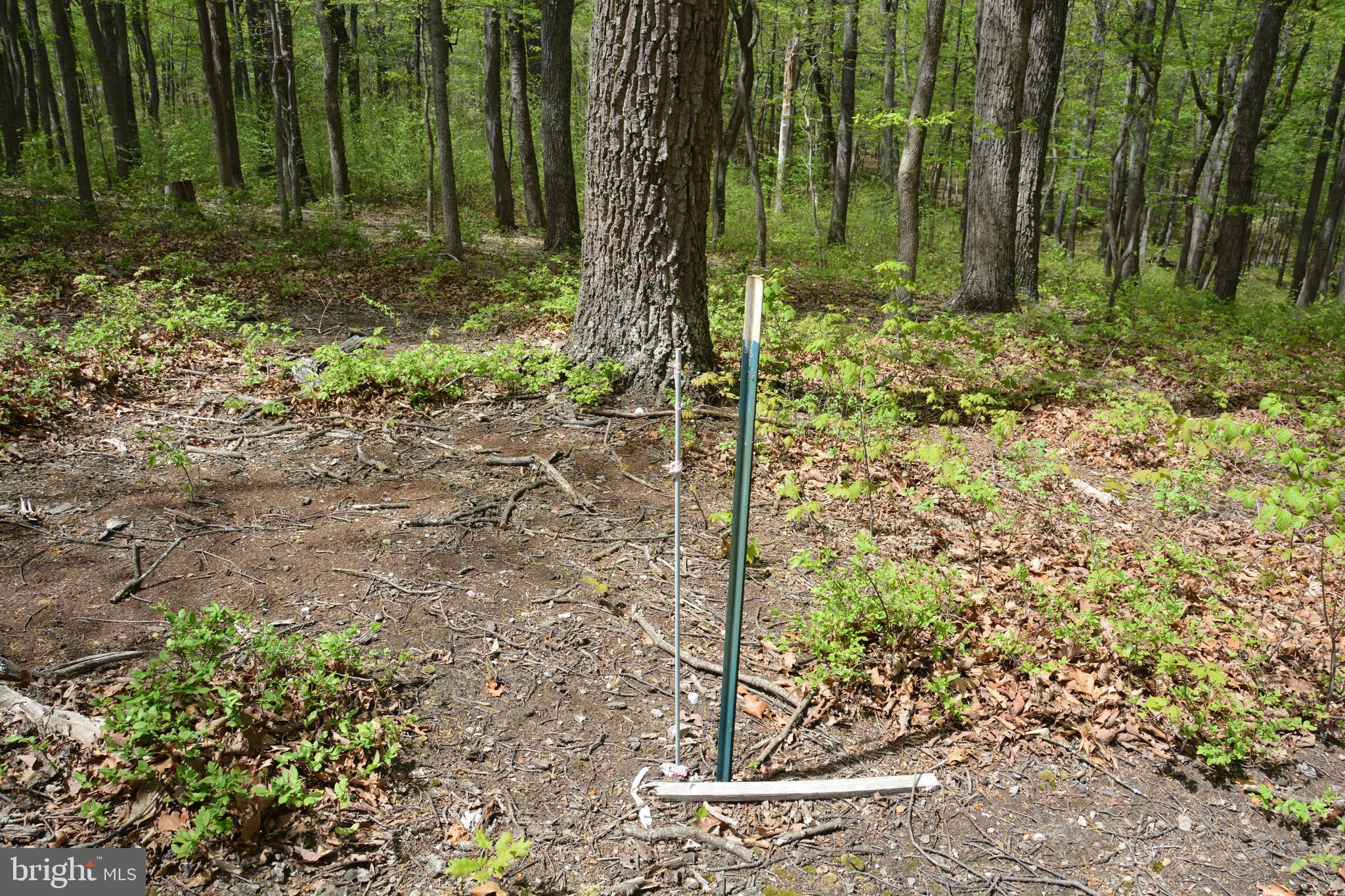 FALL RUN FOREST - Land