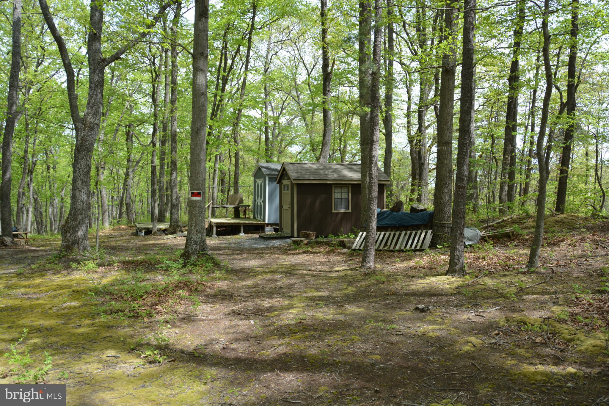 FALL RUN FOREST - Land