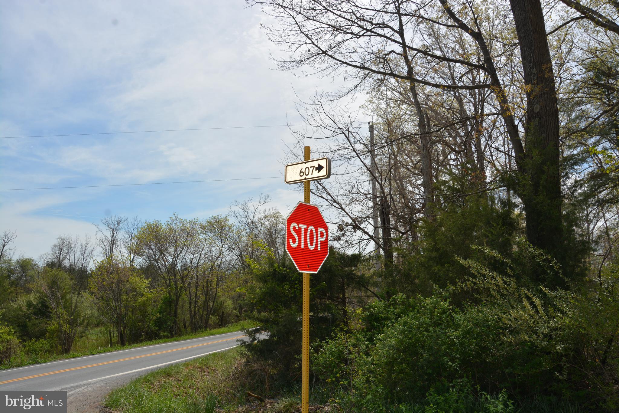 FALL RUN FOREST - Land