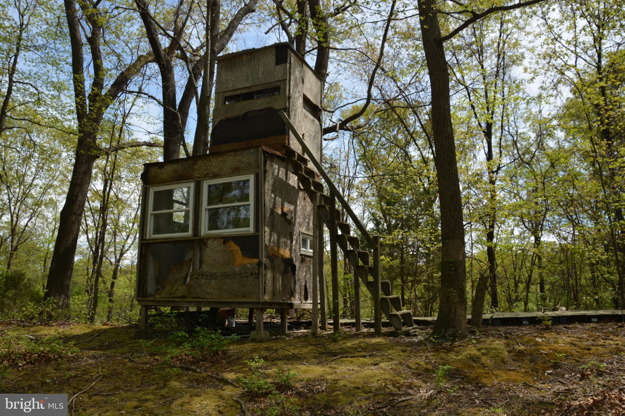 FALL RUN FOREST - Land