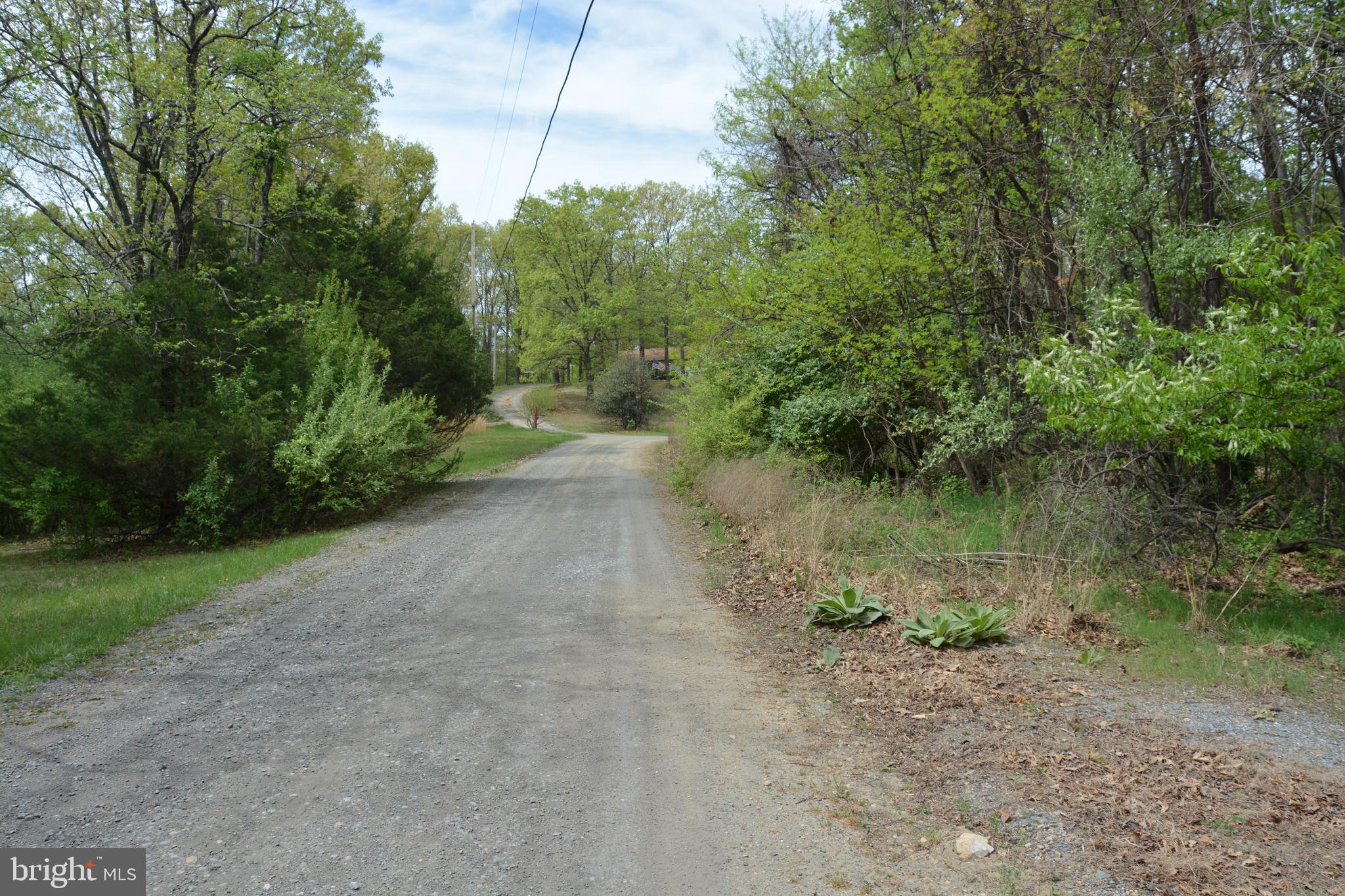 FALL RUN FOREST - Land