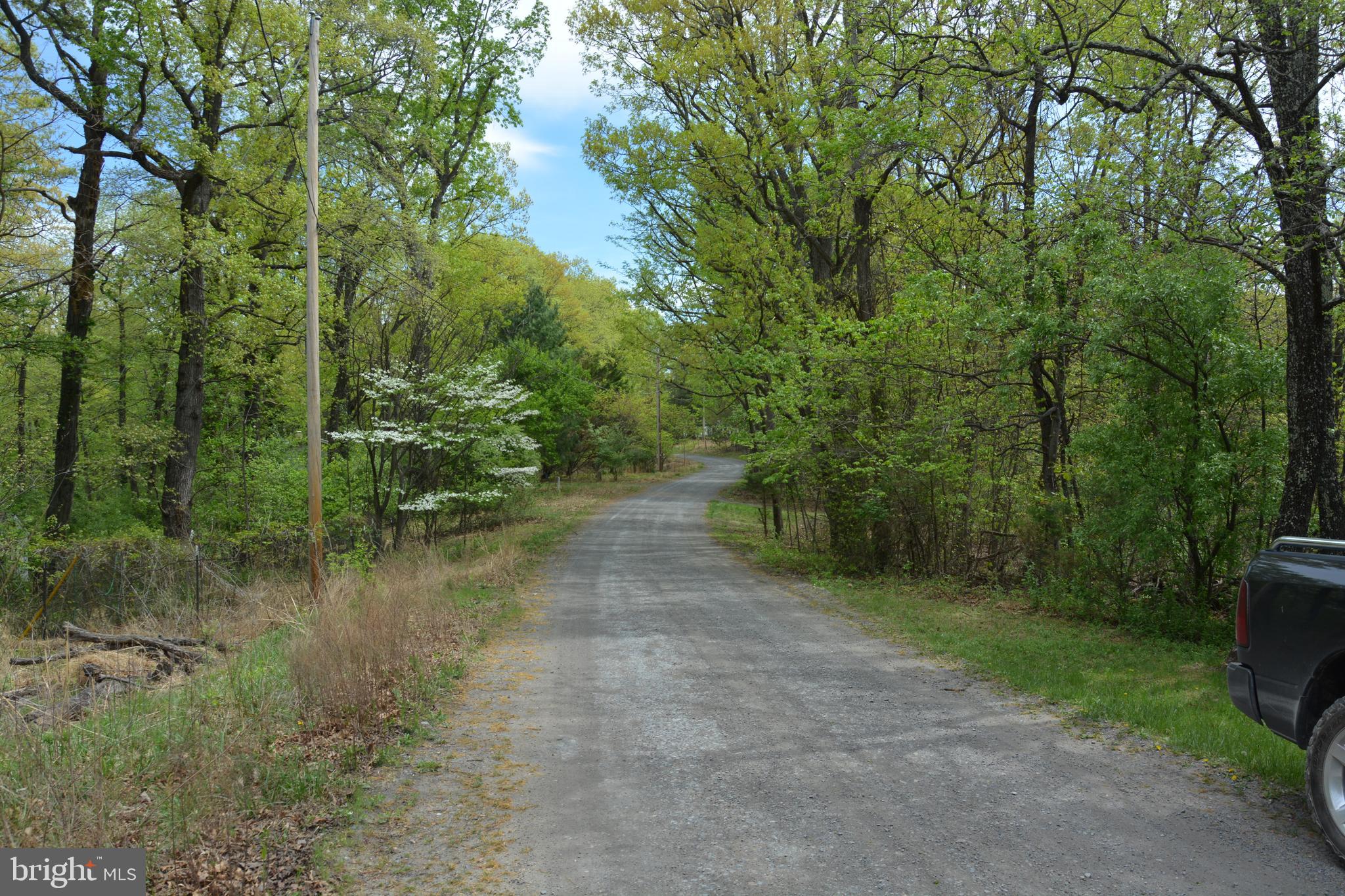 FALL RUN FOREST - Land