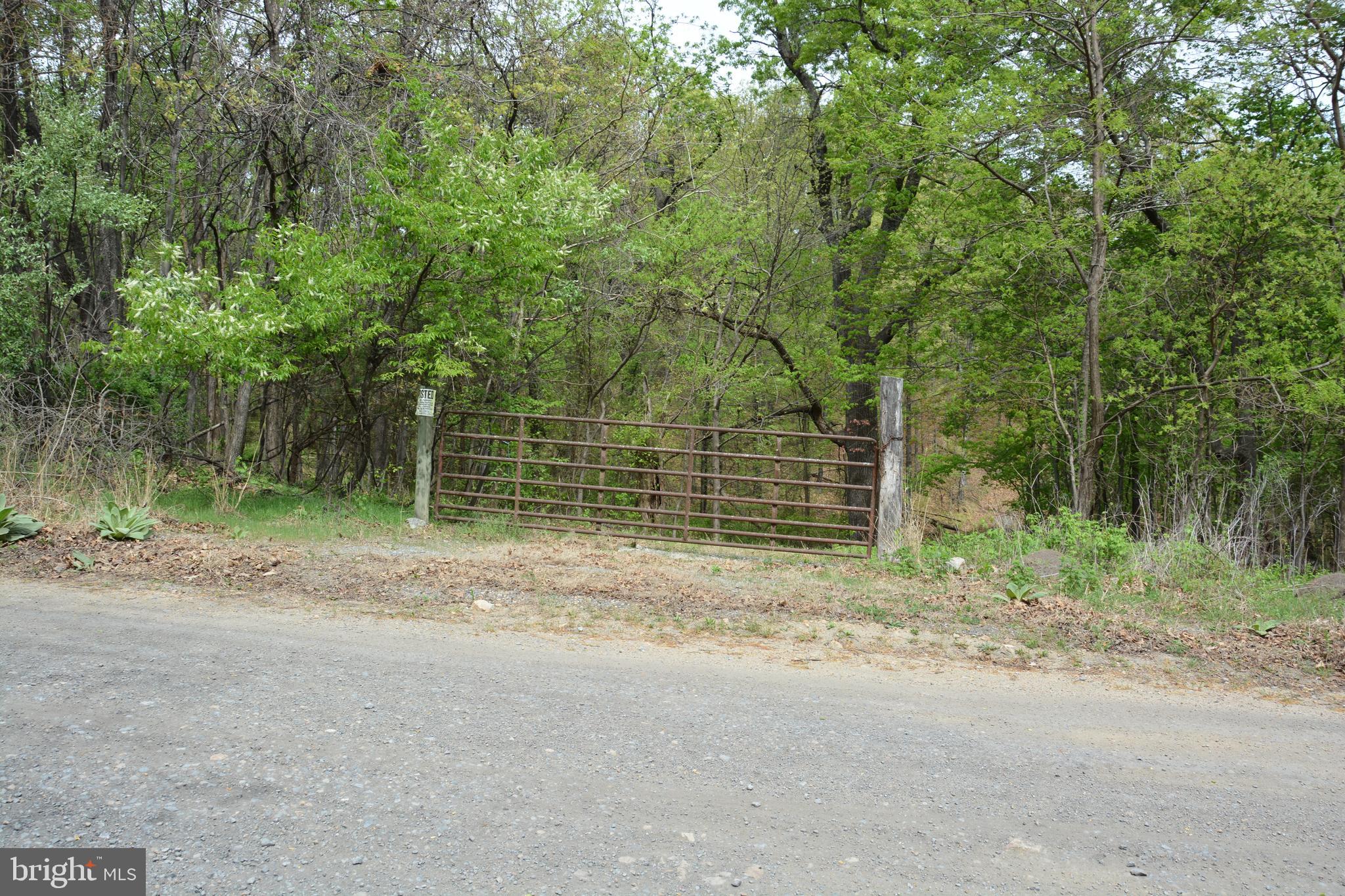 FALL RUN FOREST - Land