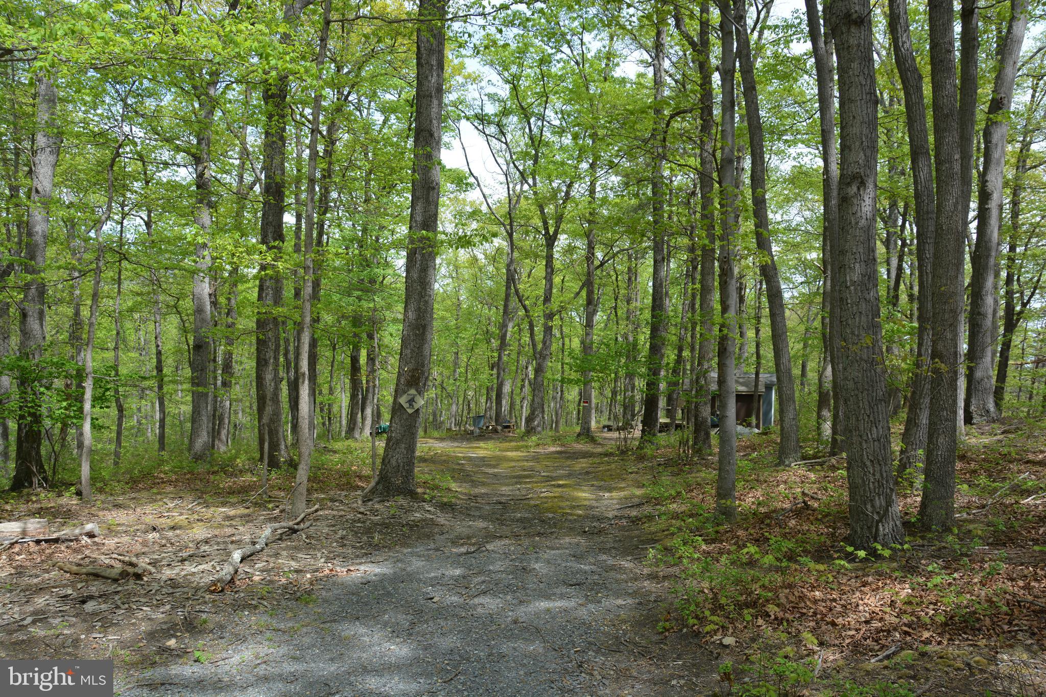 FALL RUN FOREST - Land