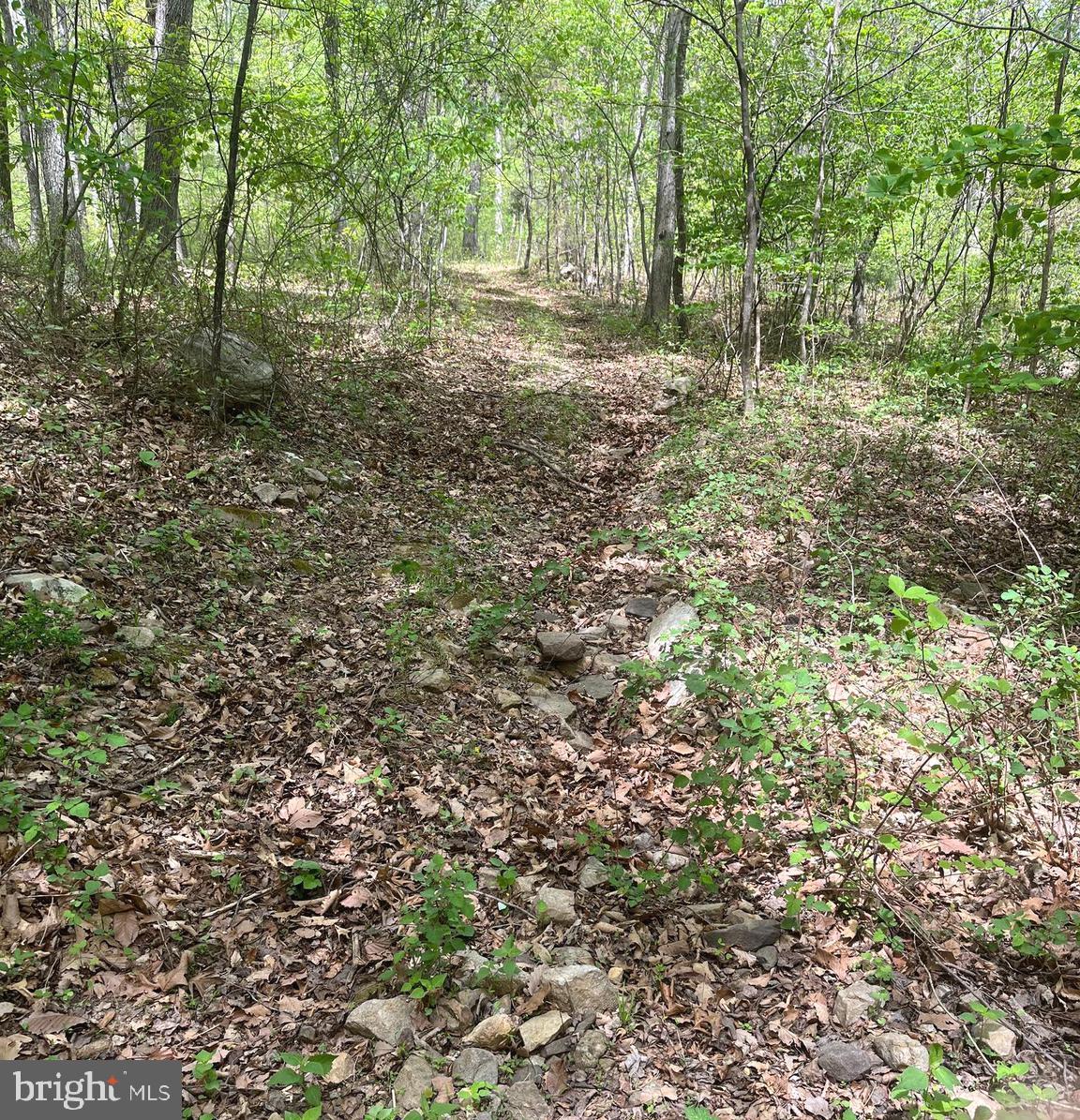 FALL RUN FOREST - Land