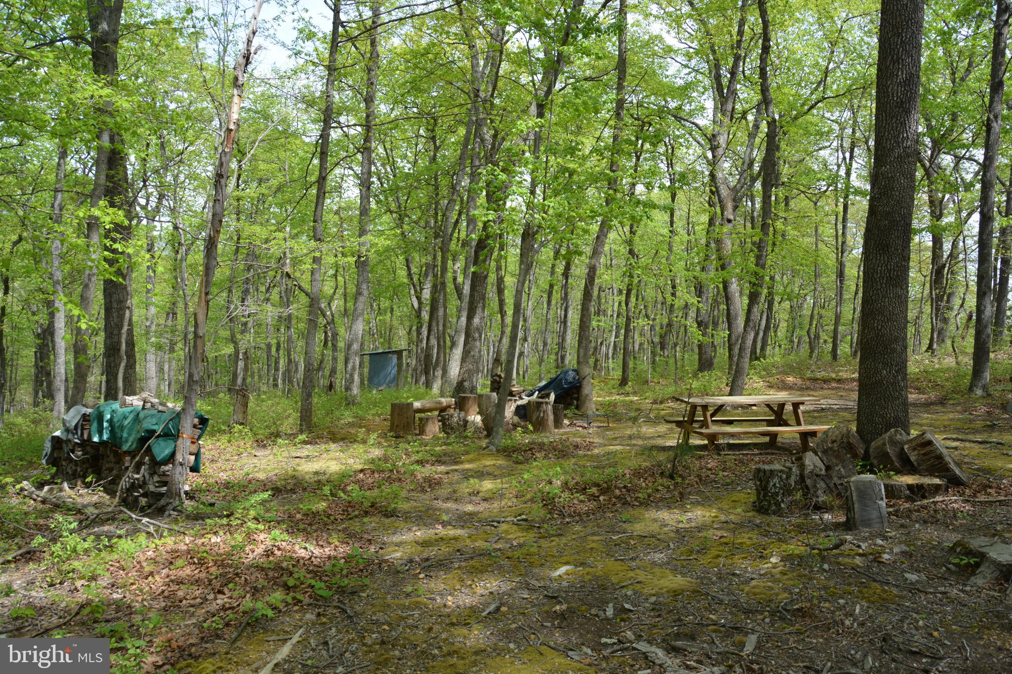 FALL RUN FOREST - Land