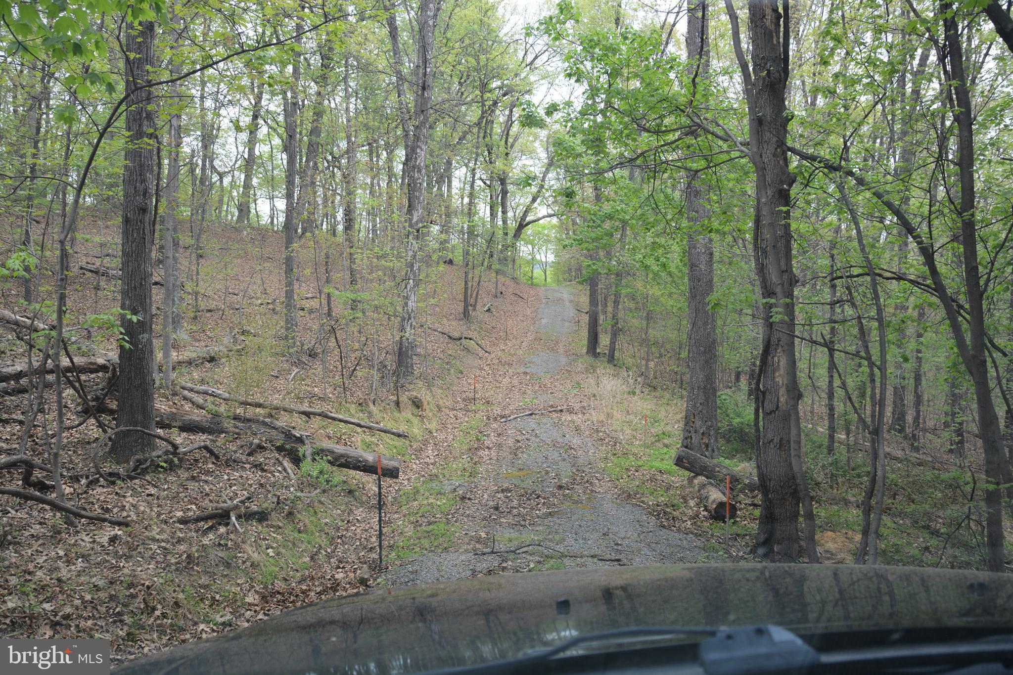 FALL RUN FOREST - Land