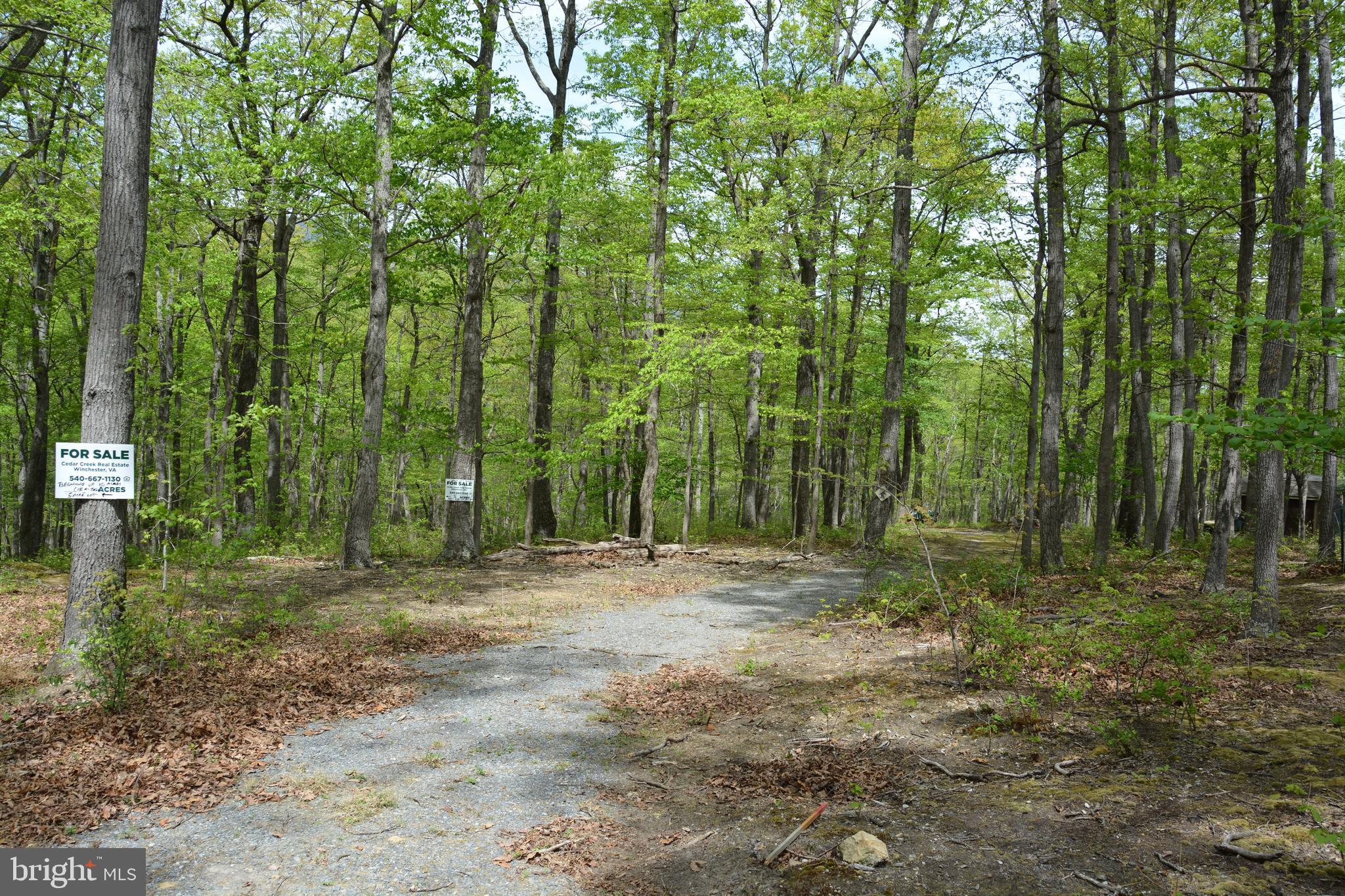 FALL RUN FOREST - Land