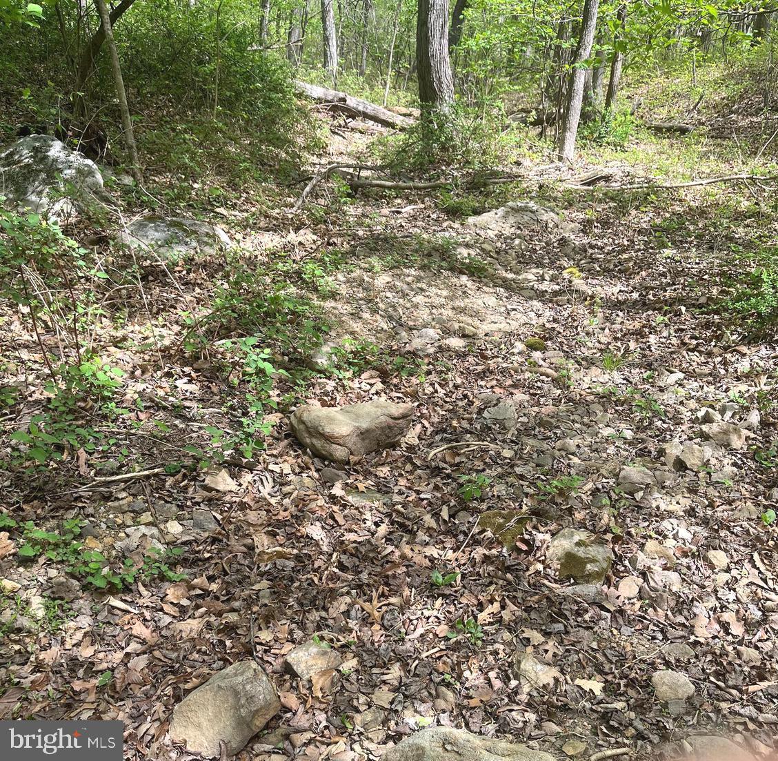 FALL RUN FOREST - Land