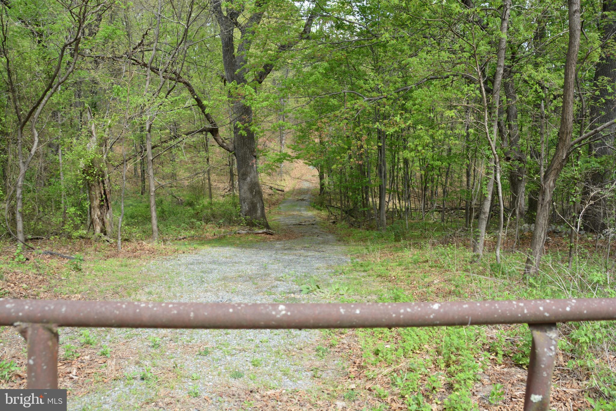 FALL RUN FOREST - Land