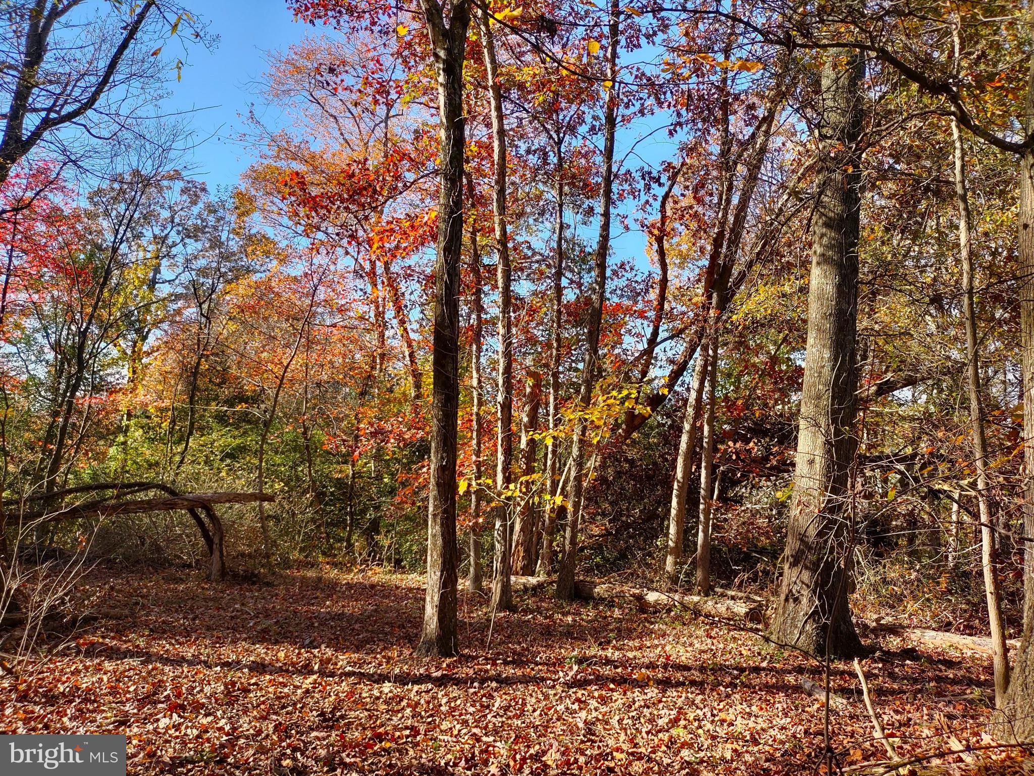 NONE AVAILABLE - Land