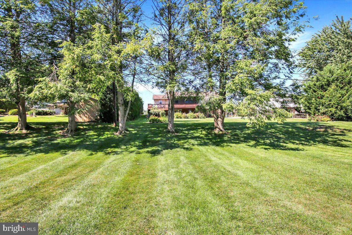 1616 SHERWOOD ROAD