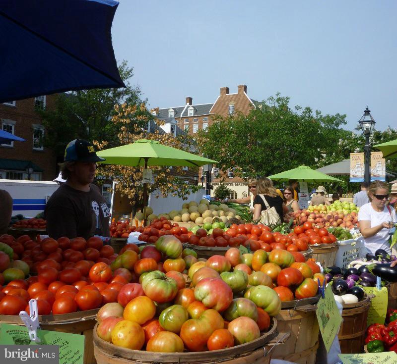 JEFFERSON MANOR - Residential Lease