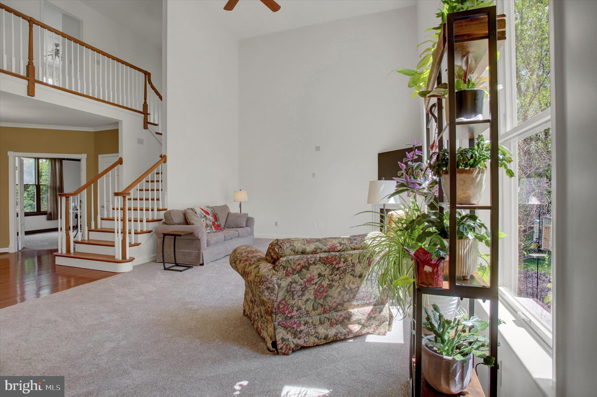 FOUNTAIN HEAD - Residential