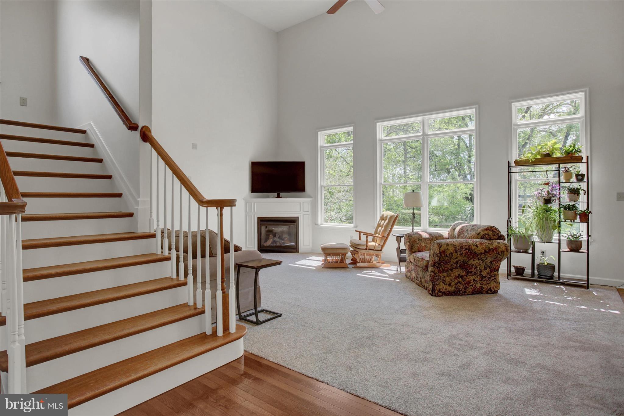 FOUNTAIN HEAD - Residential