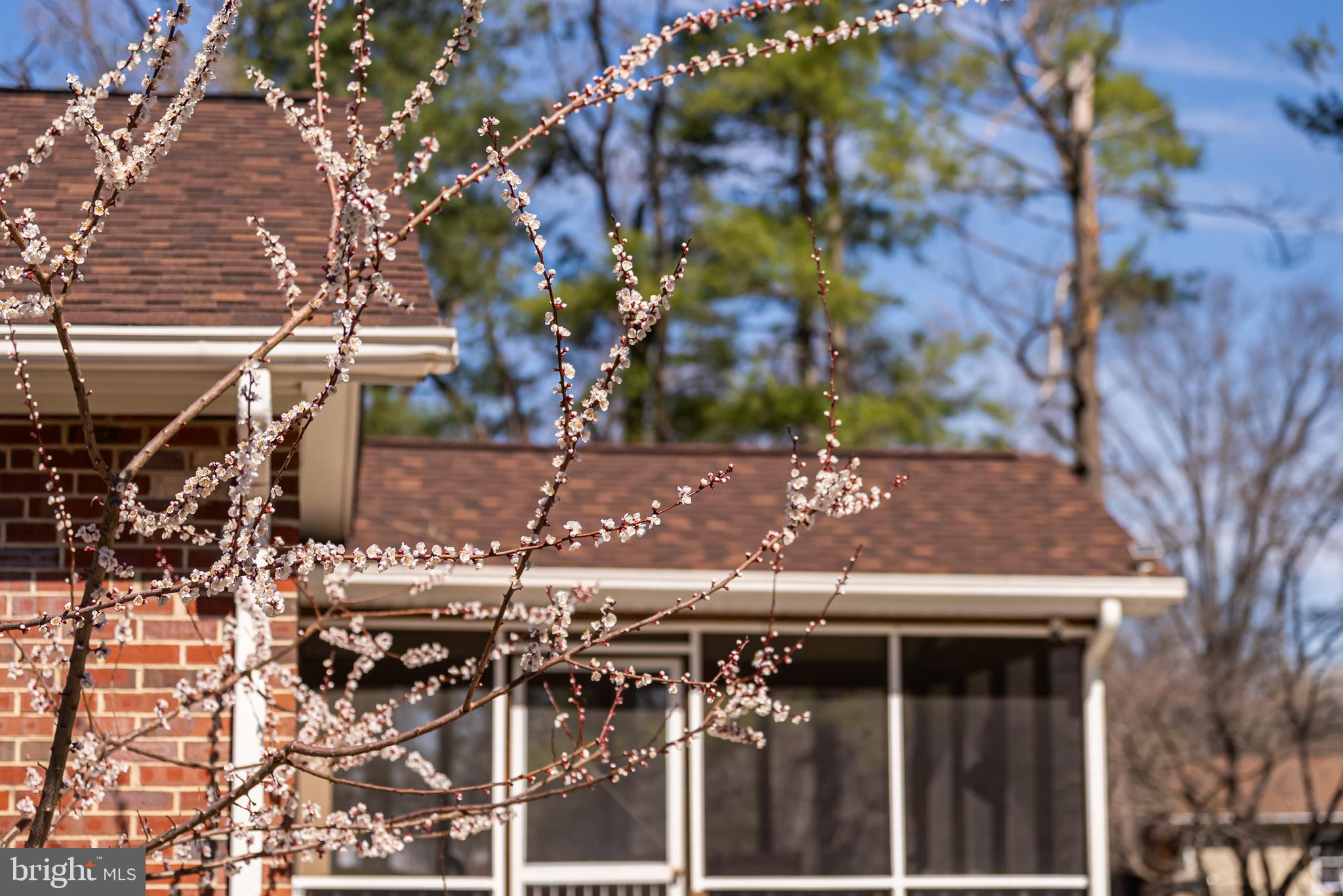 MOUNTAIN FARM - Residential