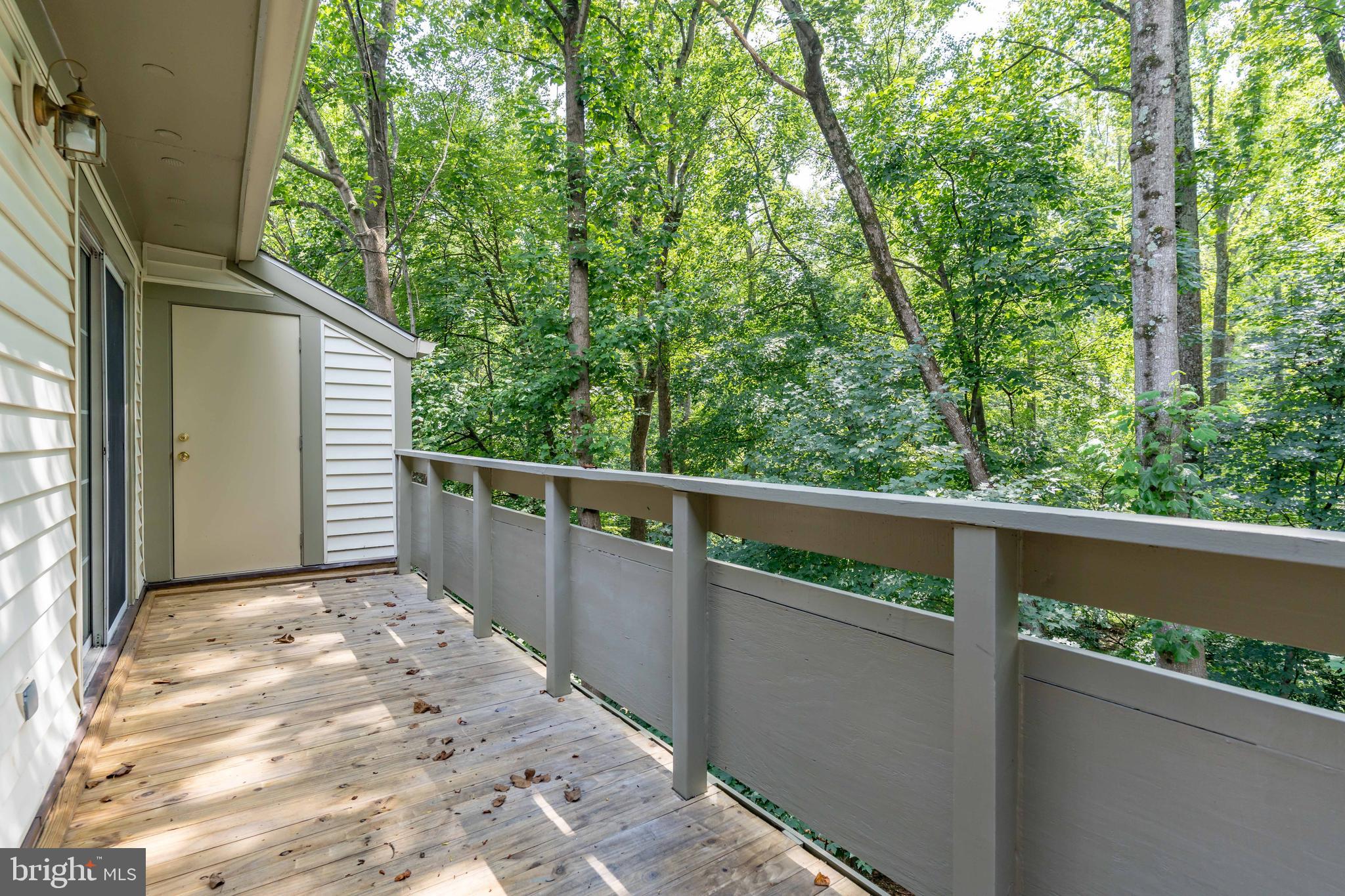 BRISTOL HOUSE - Residential