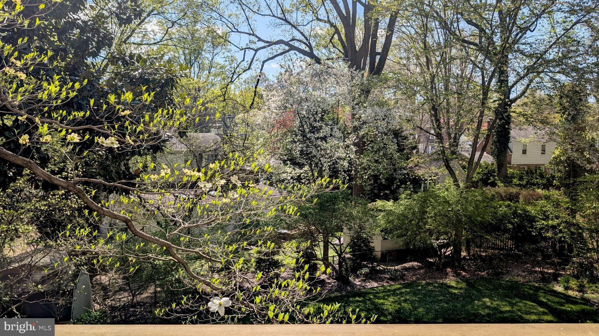 WOODMOOR - Residential