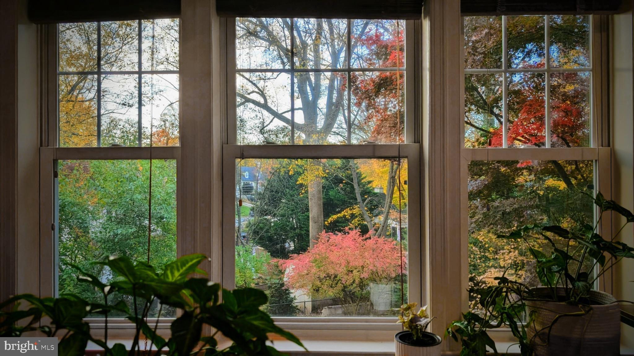 WOODMOOR - Residential