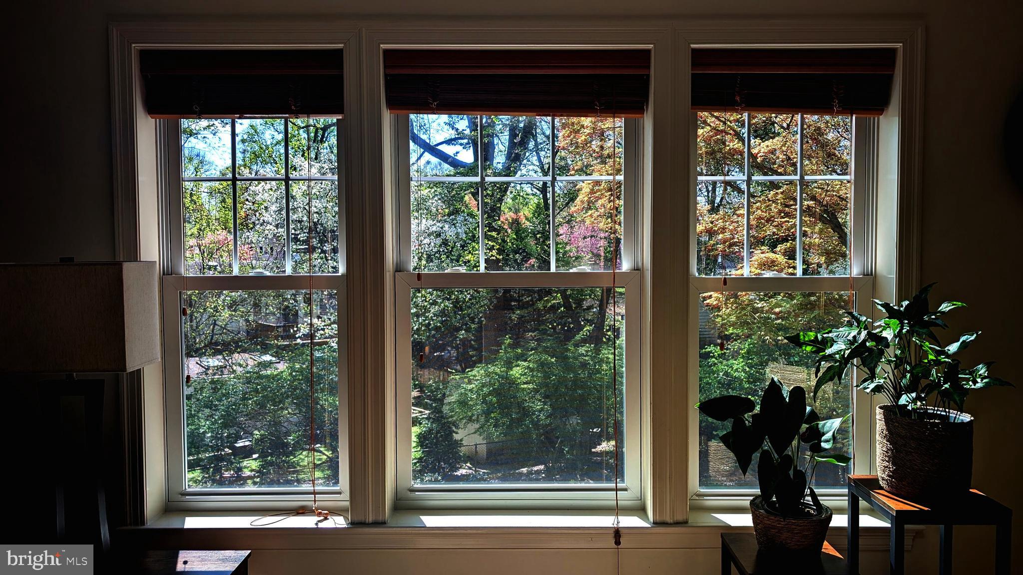 WOODMOOR - Residential