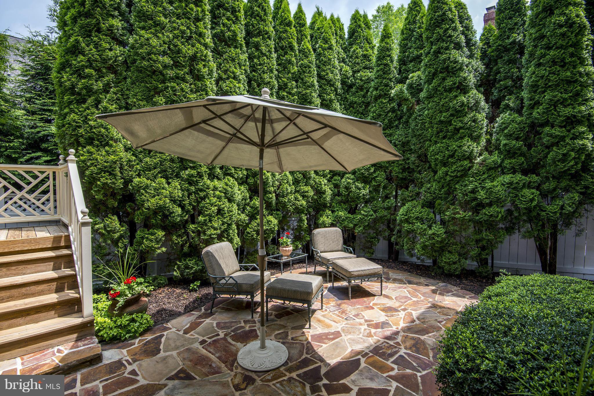 CHEVY CHASE - Residential