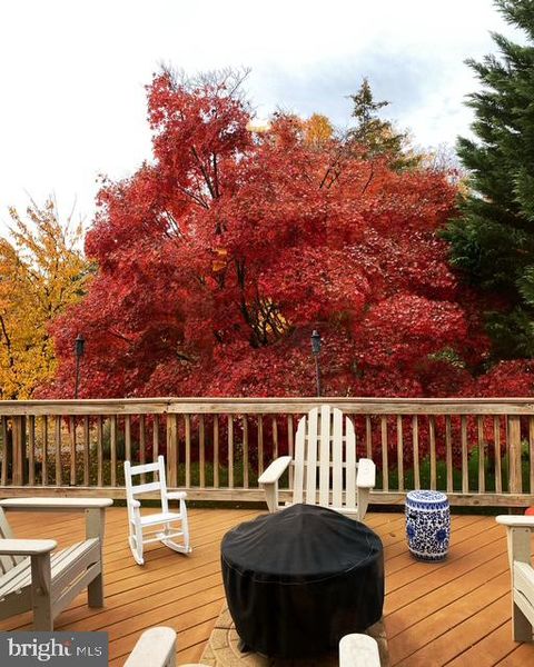 Photo of 8200 Buckspark Lane W, POTOMAC, MD 20854 (MLS # MDMC2167138)