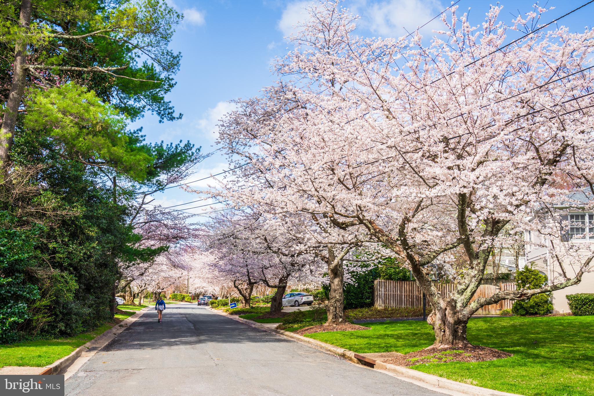 WHITEHALL MANOR - Residential