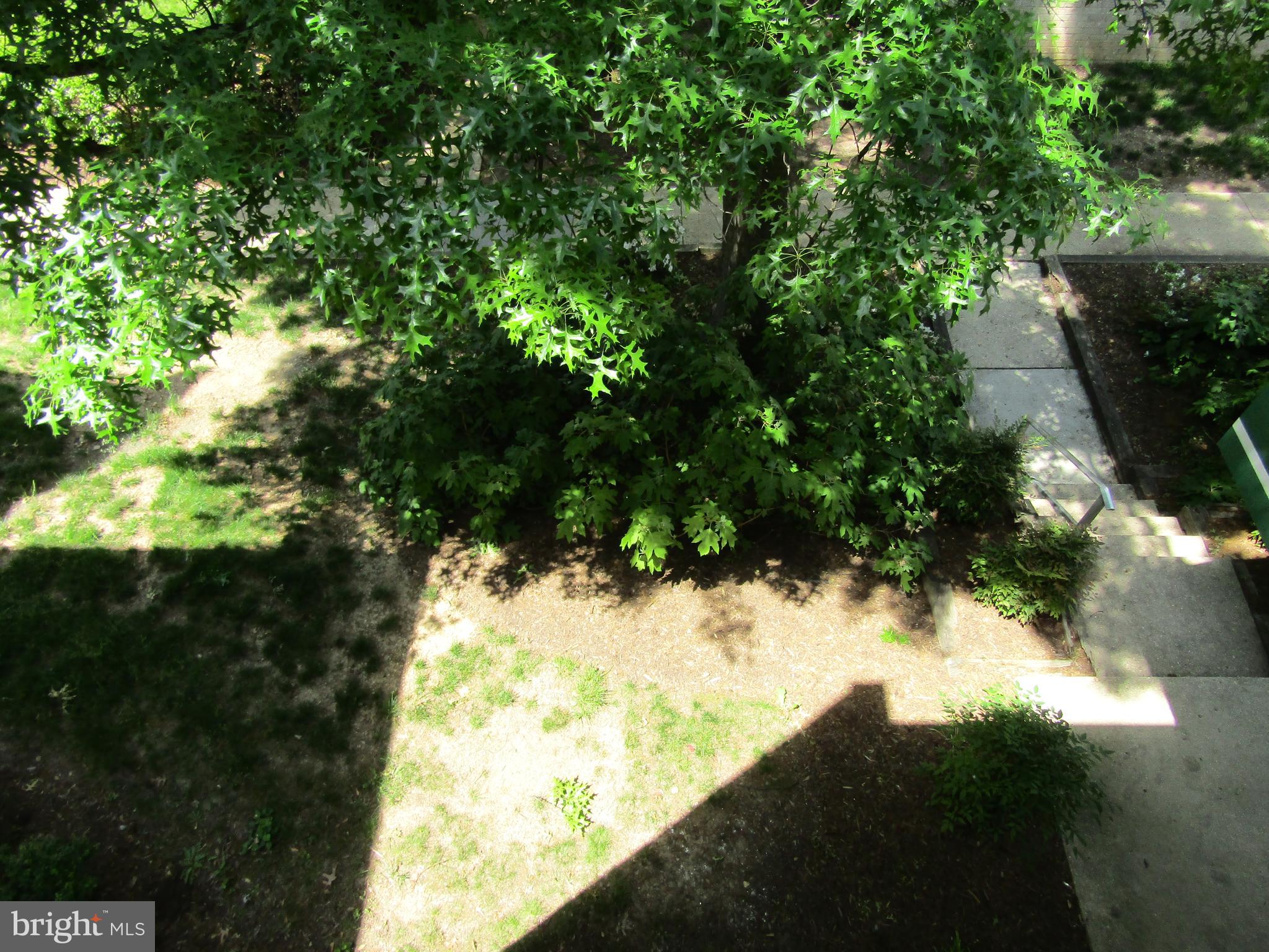 CANTERBURY SQUARE - Residential Lease