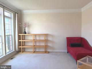 CLARKSBURG VILLAGE - Residential