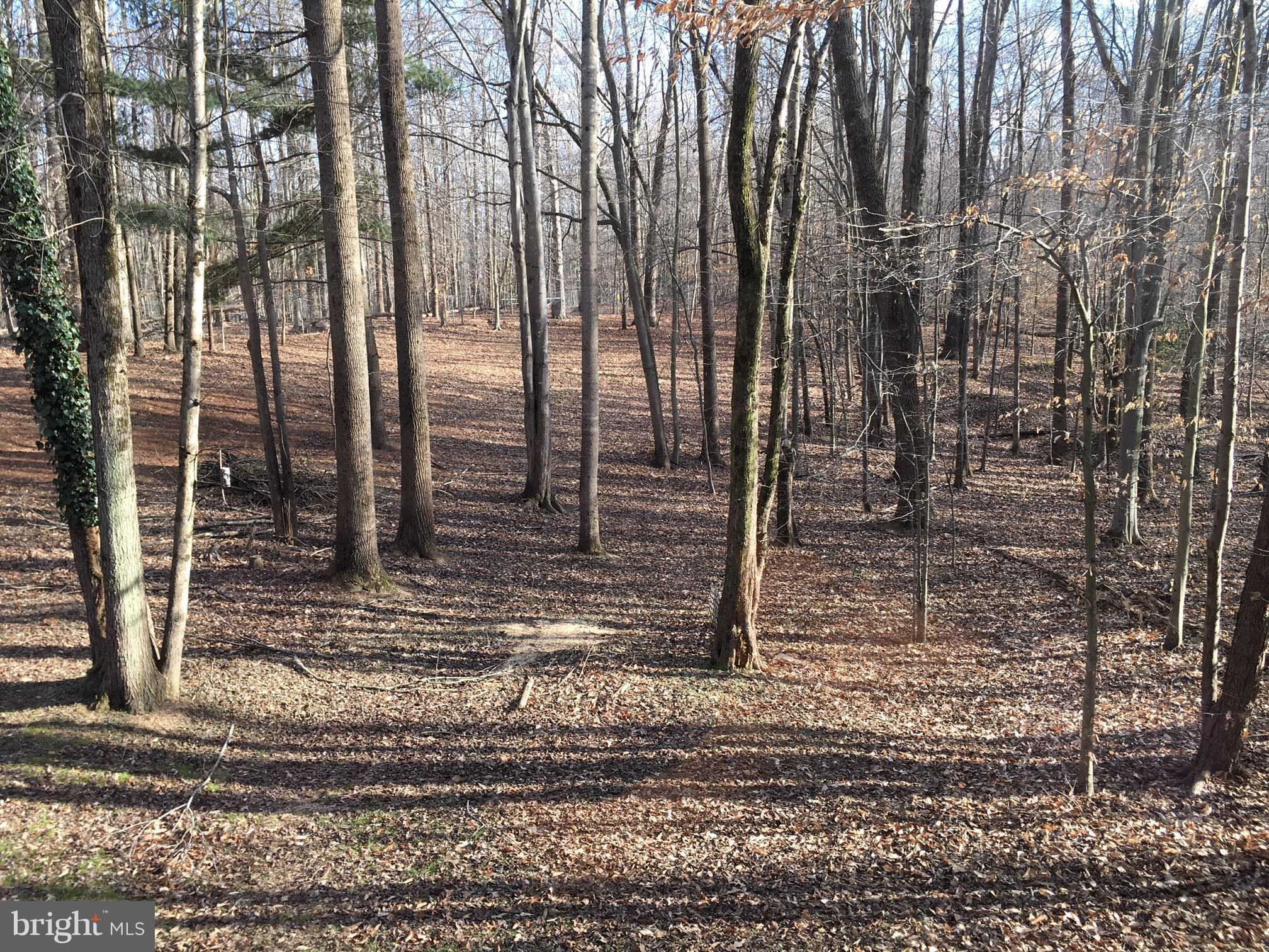 BIRMINGHAM ESTATES - Residential