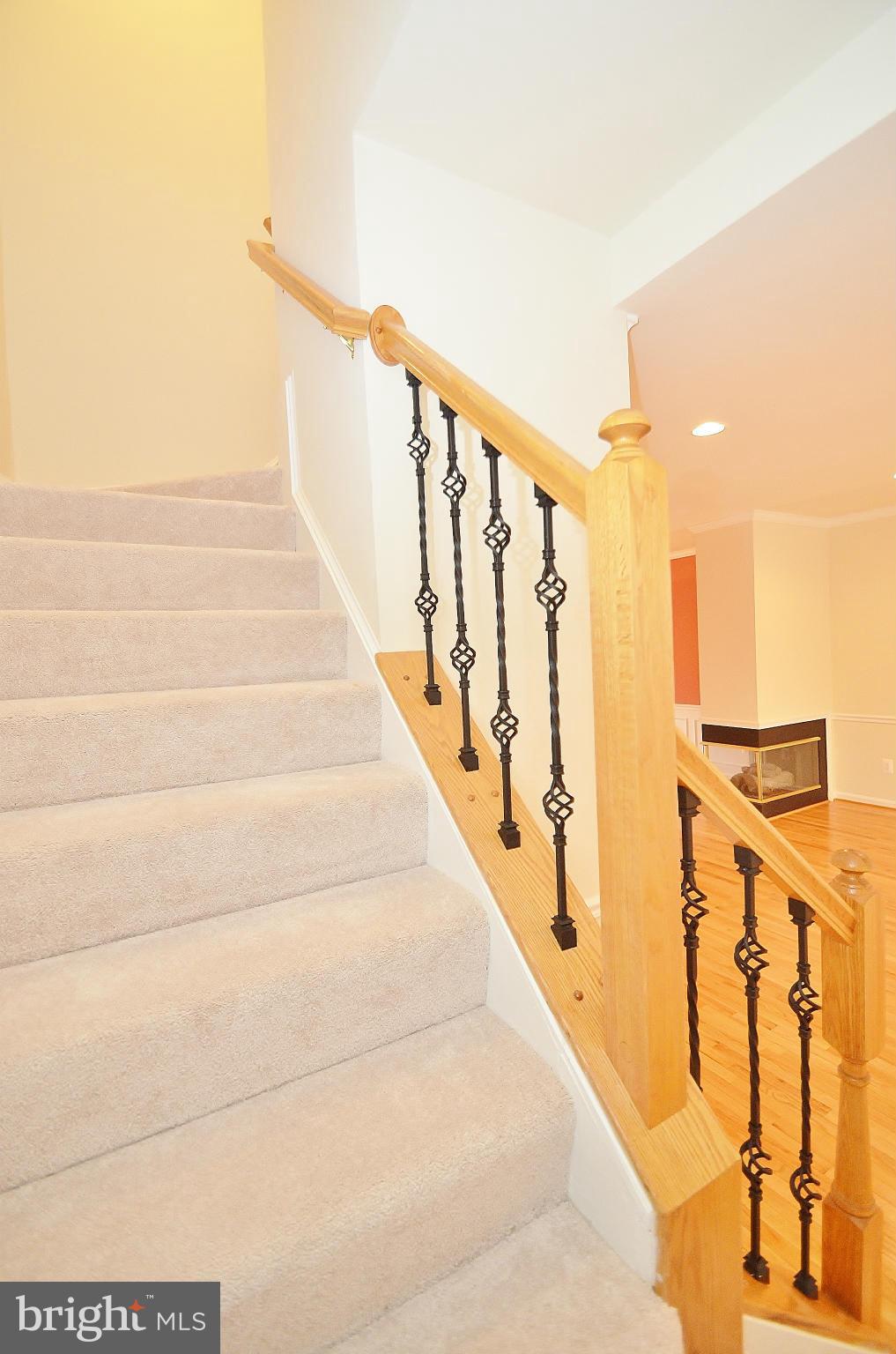 GREAT FALLS CHASE - Residential