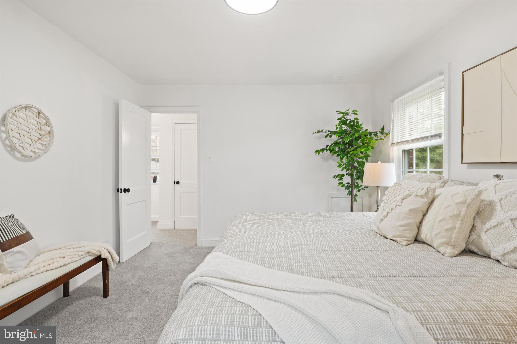 AVONDALE TERRACE - Residential