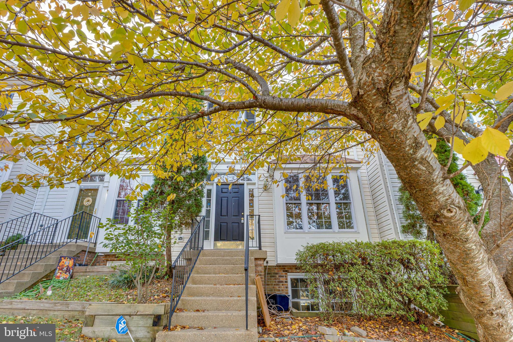 MONTCLAIR MEWS - Residential Lease