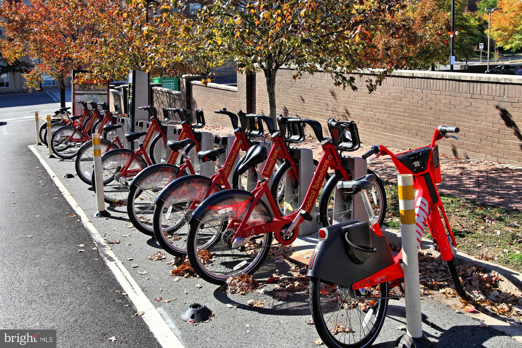 DOMINION HEIGHTS - Residential