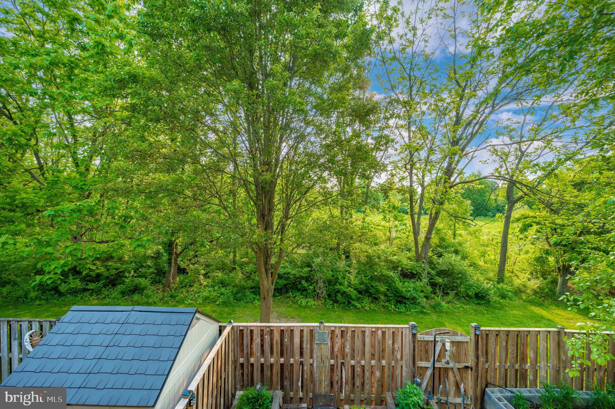 BALLENGER CROSSING - Residential