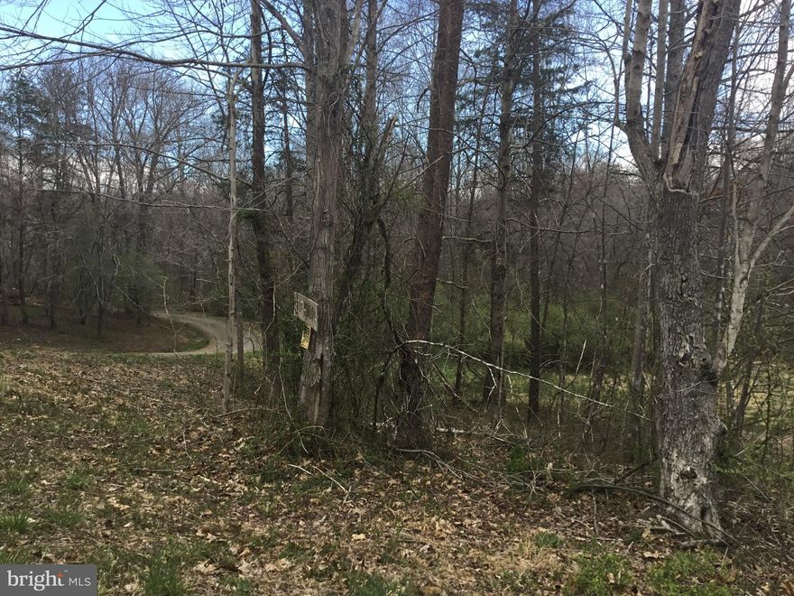 Beautiful 11.23 acre wooded parcel with part-year mountain views, 4 bedroom perc soil test report and NO HOA waiting for you to build that private house in the country just 6 minutes from the town of Culpeper and route 29 to get easy access to Warrenton, Gainesville/Haymarket, Fairfax/DC or head south to Madison, Ruckersville or Charlottesville. This build-able lot zoned A-1 located off route 522 could qualify for a future family subdivision to build another house for a family member. It has a year-round creek, gently sloping terrain and a variety of wooded and semi-clear spots to fit your future house building plans. Corner edge of the property is located at the intersection of Foot Hills Lane and Stillhouse Lane