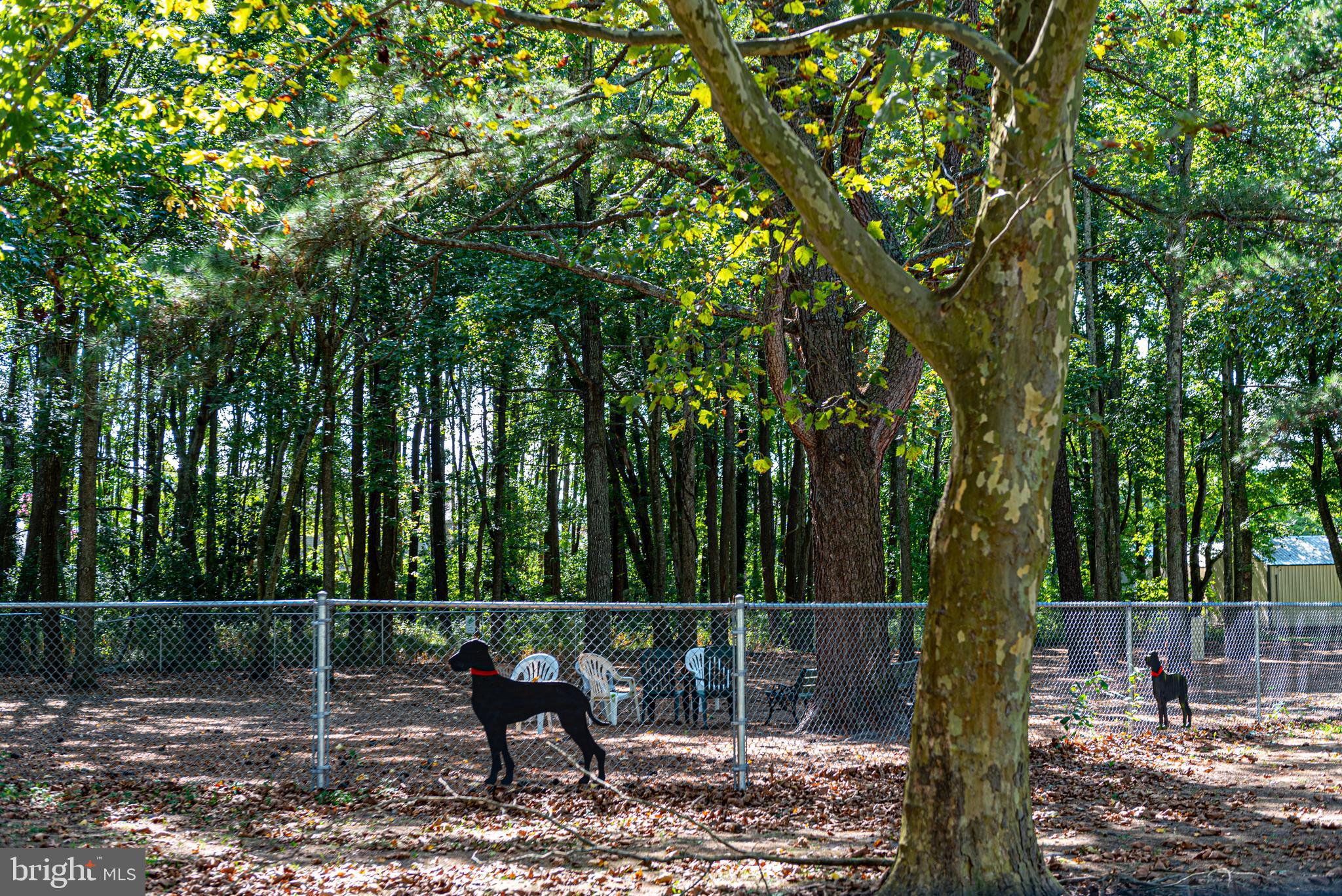 OCEAN PINES - WOOD DUCK ISLE I - Residential