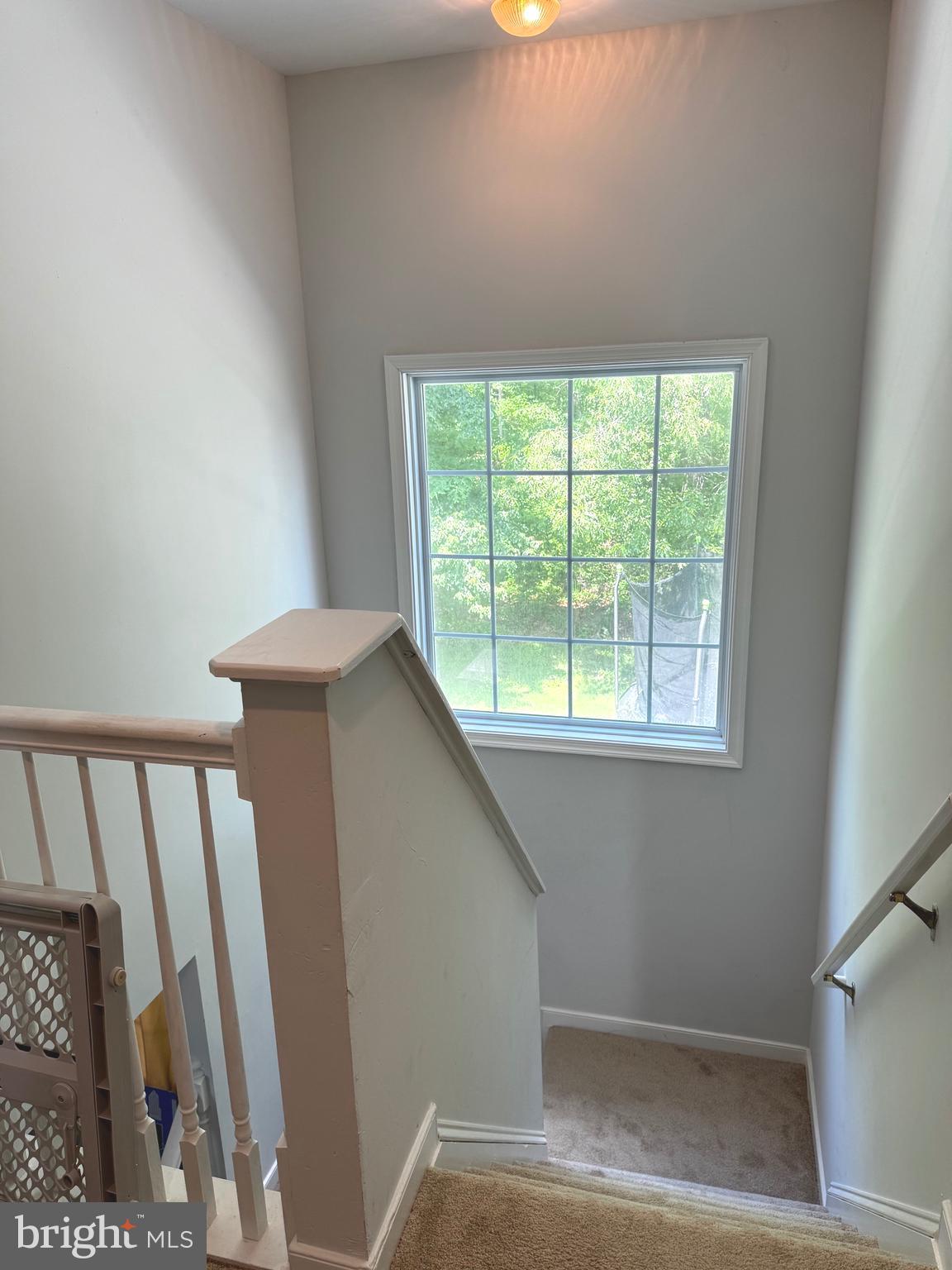 SWANSON WOODS - Residential