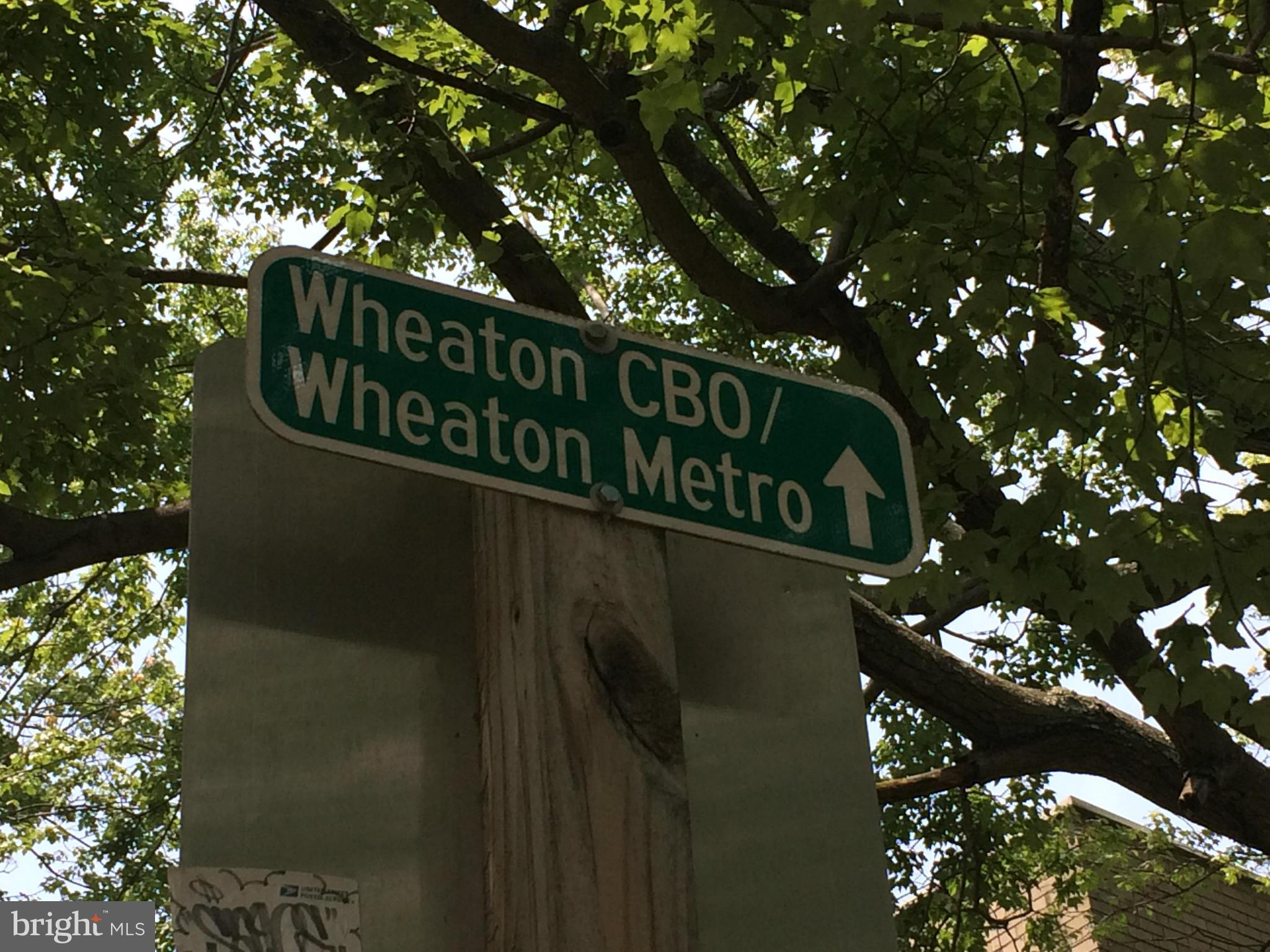 BLUERIDGE MANOR - Residential