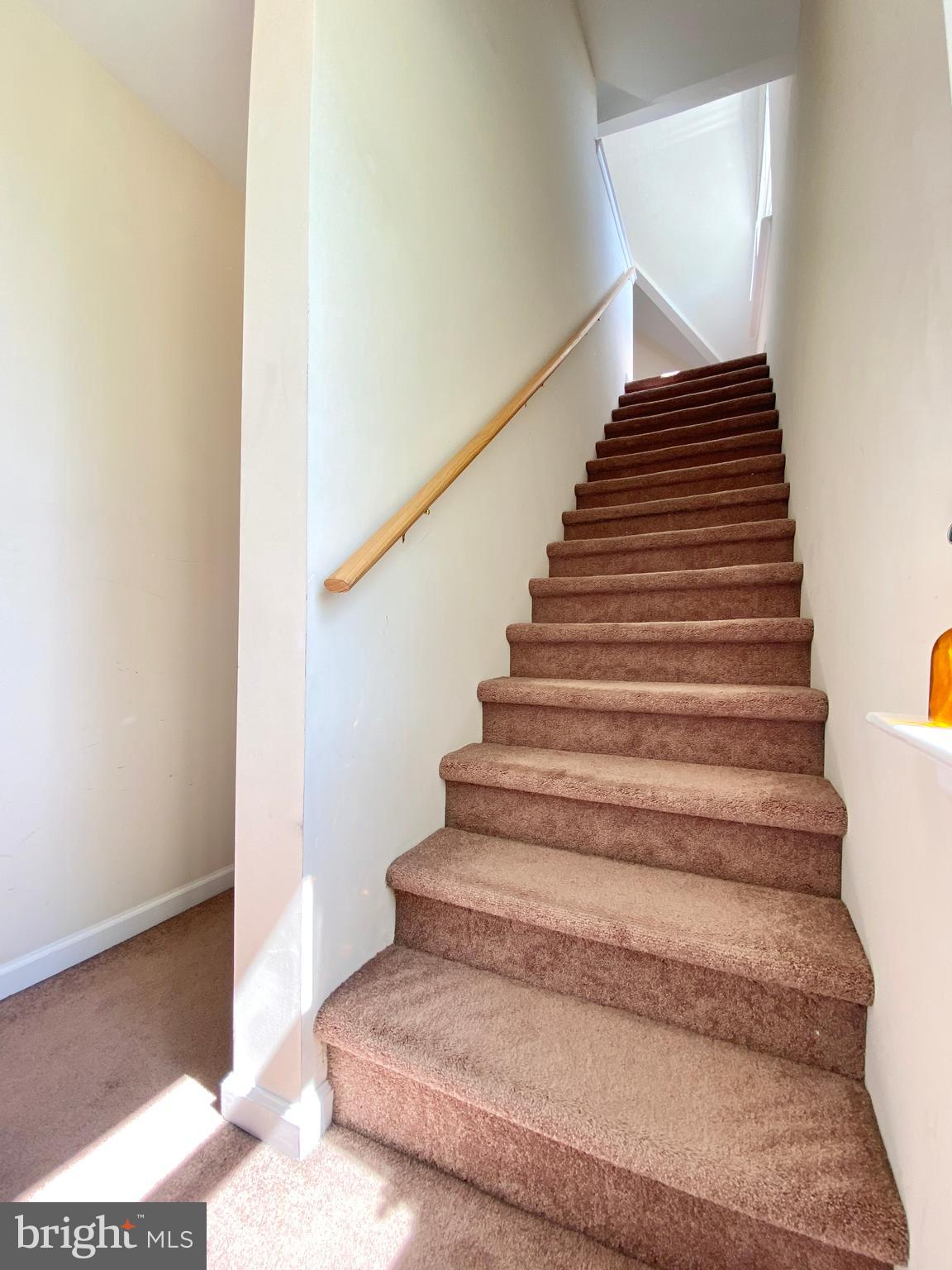 RIDLEY PARK - Residential