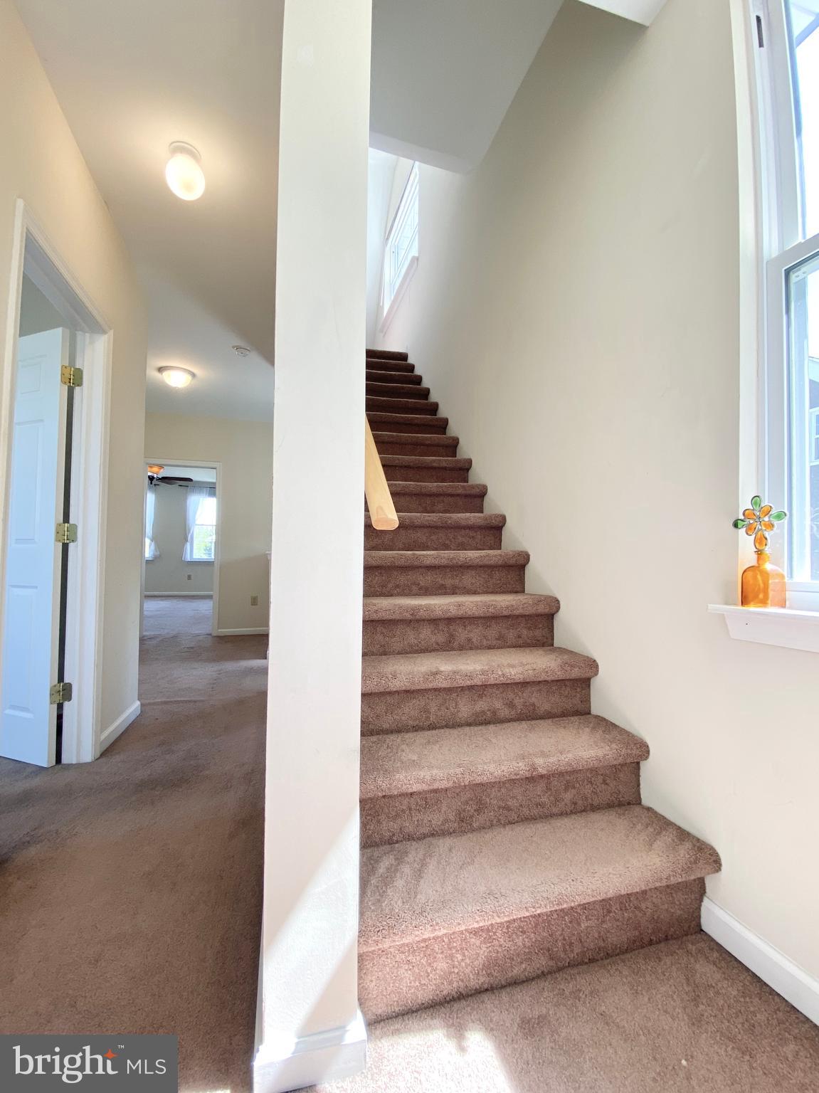 RIDLEY PARK - Residential