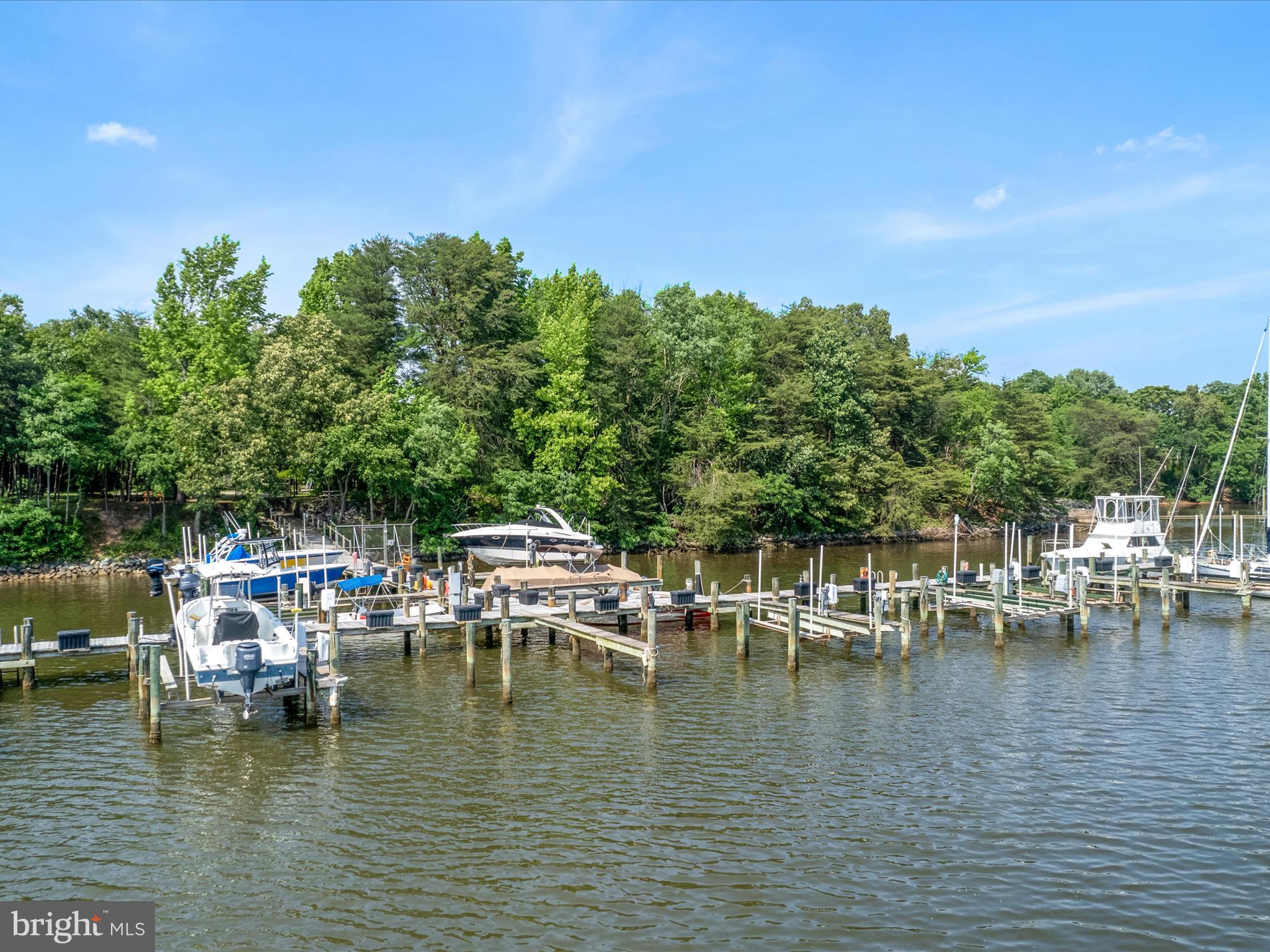 CHESTNUT HILL COVE - Residential